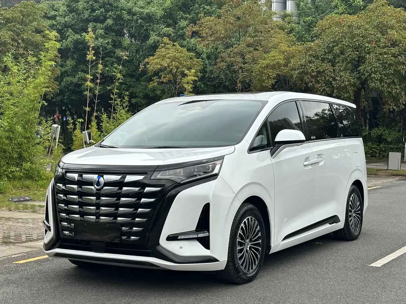 Denza Denza D9 2022 DM-i 970 All-Wheel Drive Honor Edition