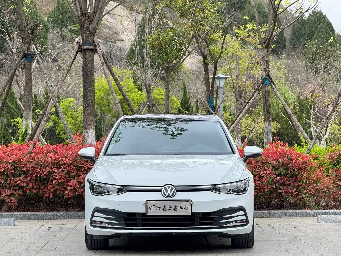 Volkswagen Golf 2024 280TSI DSG Pro 50th Anniversary Edition