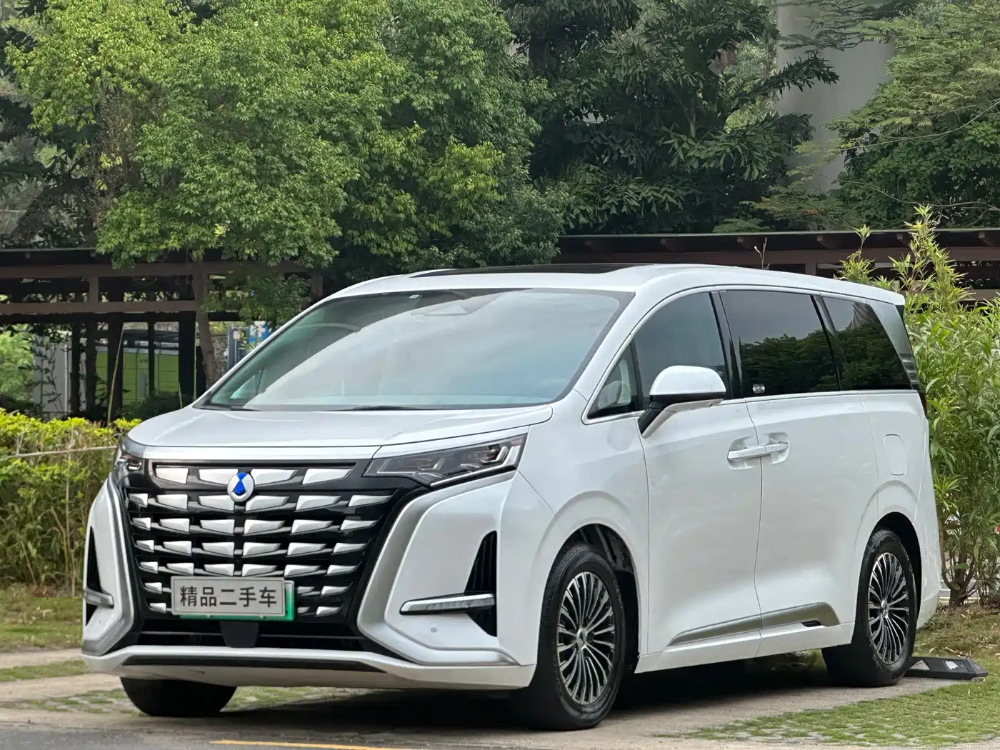Denza Denza D9 2022 DM-i 970 All-Wheel Drive Honor Edition