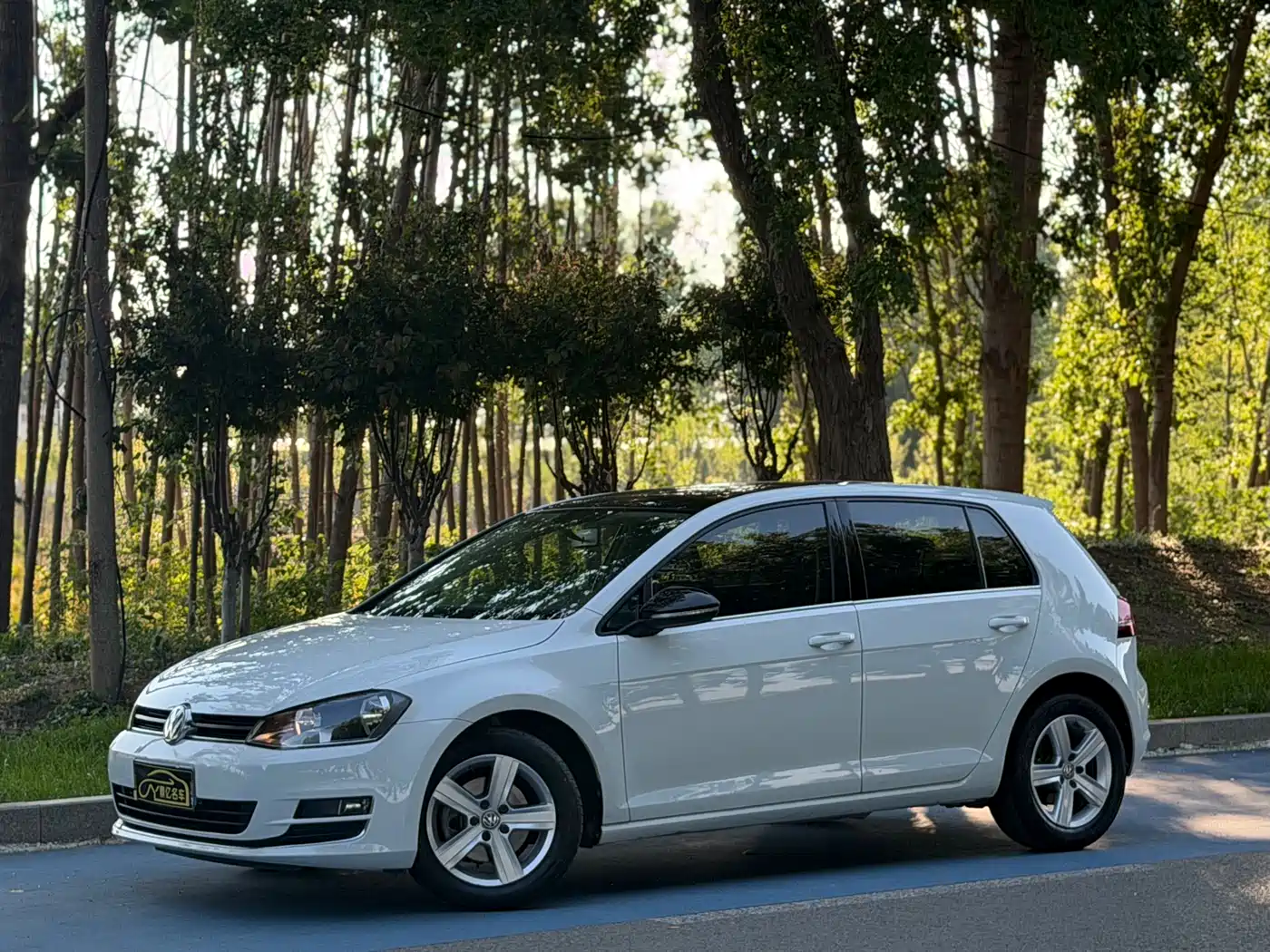 Volkswagen Golf 2016 1.6L Automatic Comfort