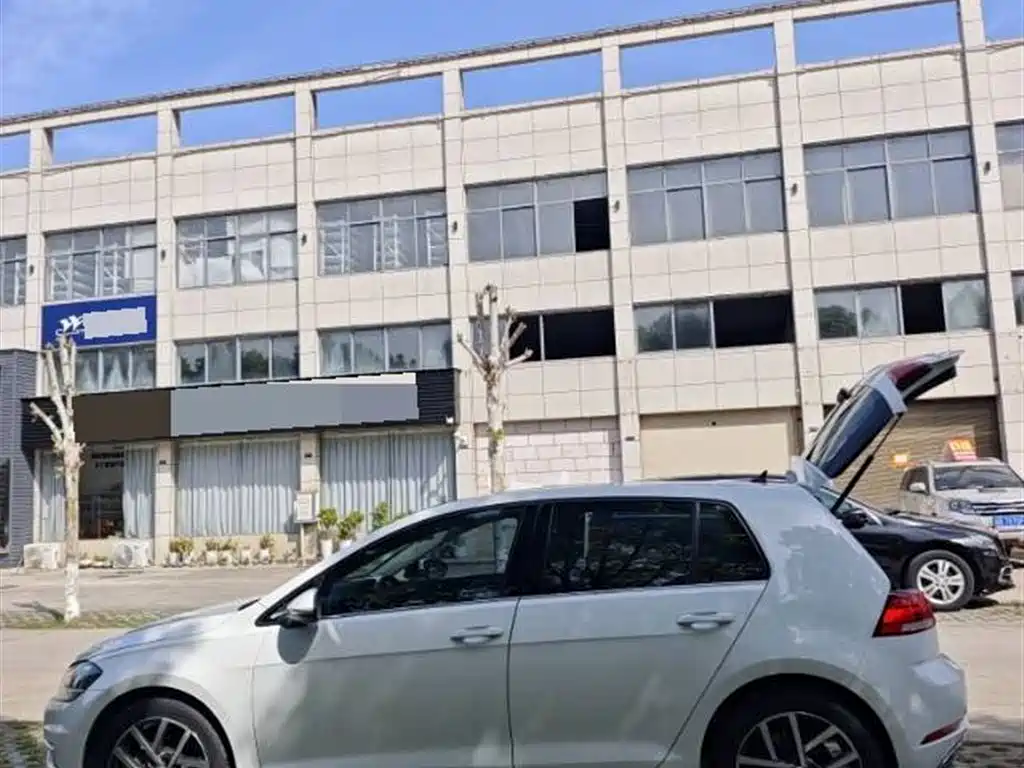 Volkswagen Golf 2019 200TSI DSG Comfort (China V)