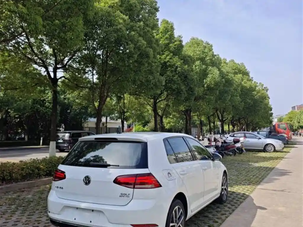 Volkswagen Golf 2019 200TSI DSG Comfort (China V)