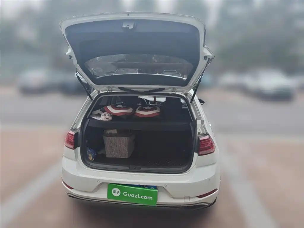 Volkswagen Golf 2019 200TSI DSG Comfort Progressive China VI