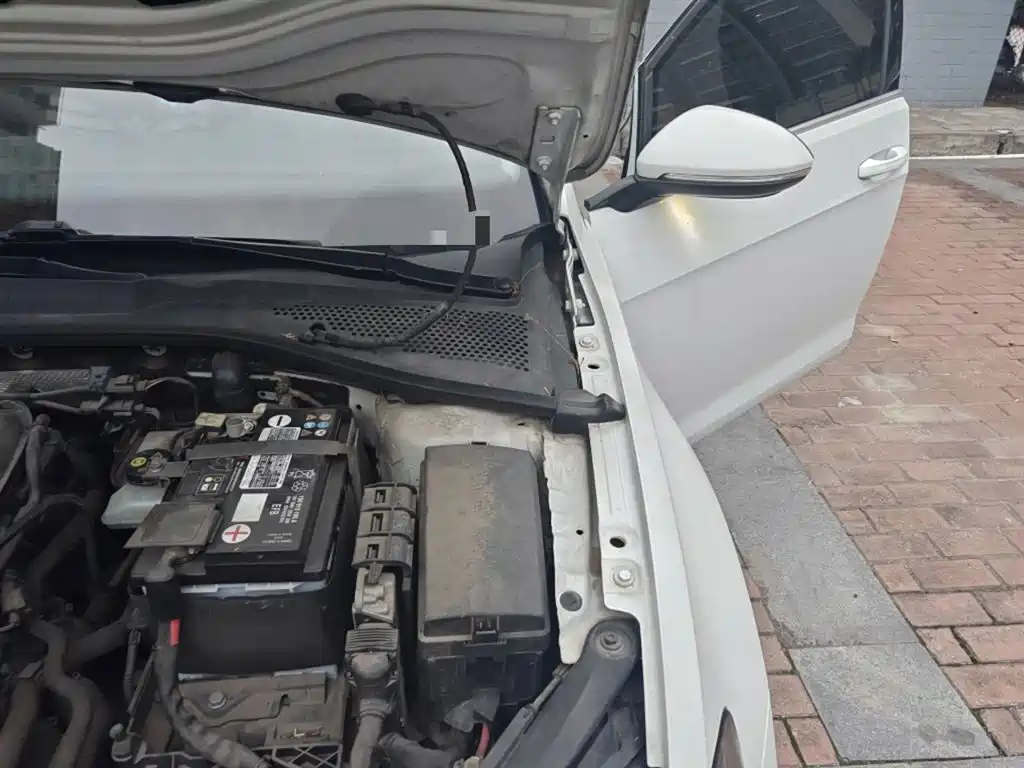 Volkswagen Golf 2019 200TSI DSG Comfort Progressive China VI