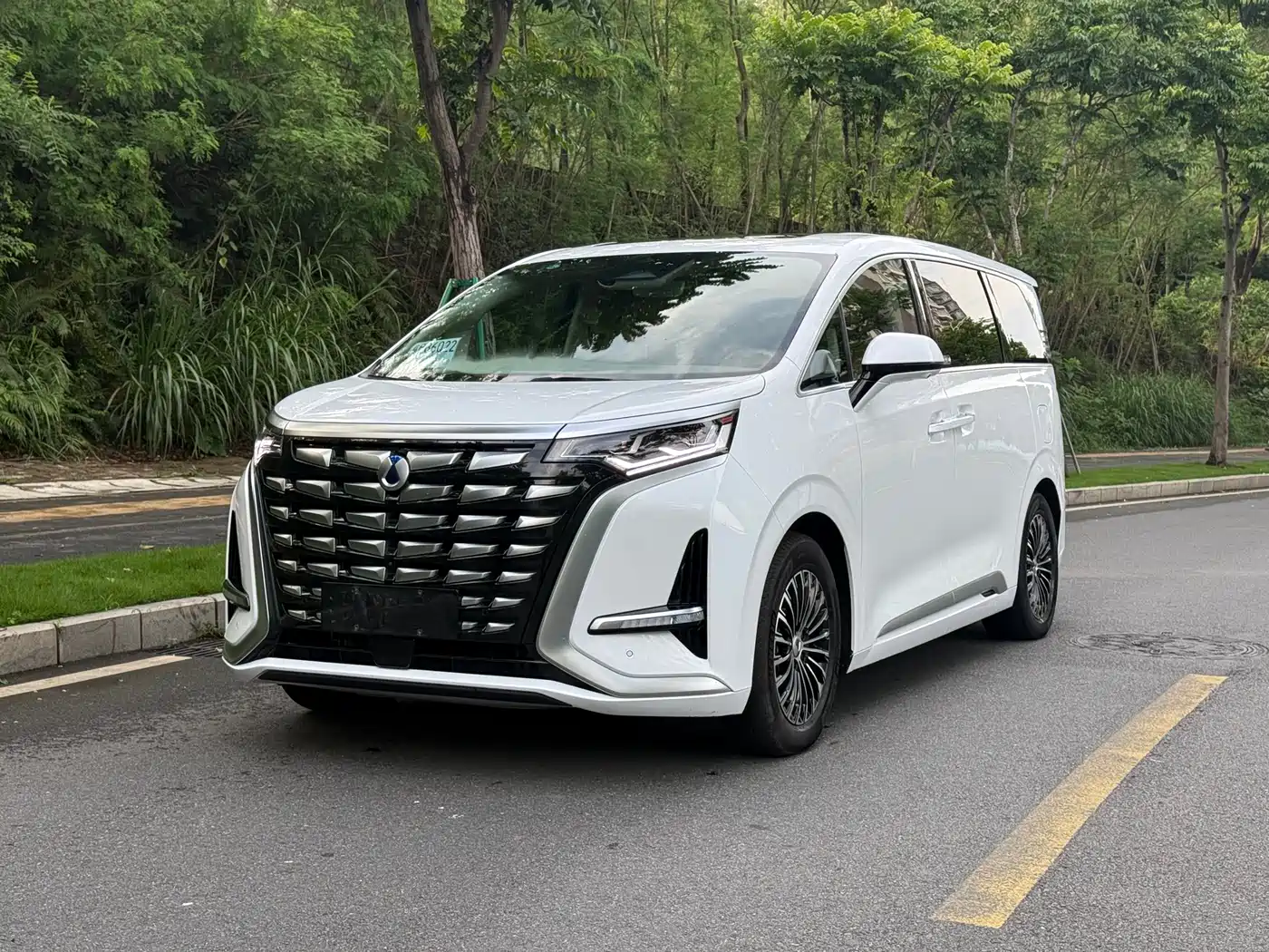 Denza Denza D9 2022 DM-i 970 All-Wheel Drive Honor Edition