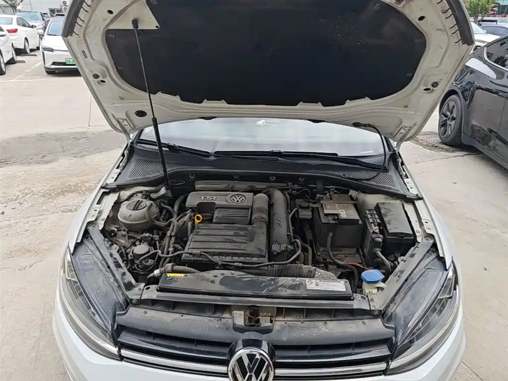 Volkswagen Golf 2019 200TSI DSG Comfort Progressive China VI