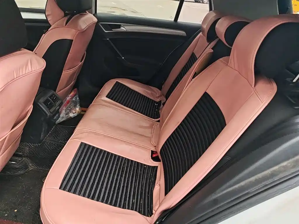 Volkswagen Golf 2019 200TSI DSG Comfort Progressive China VI