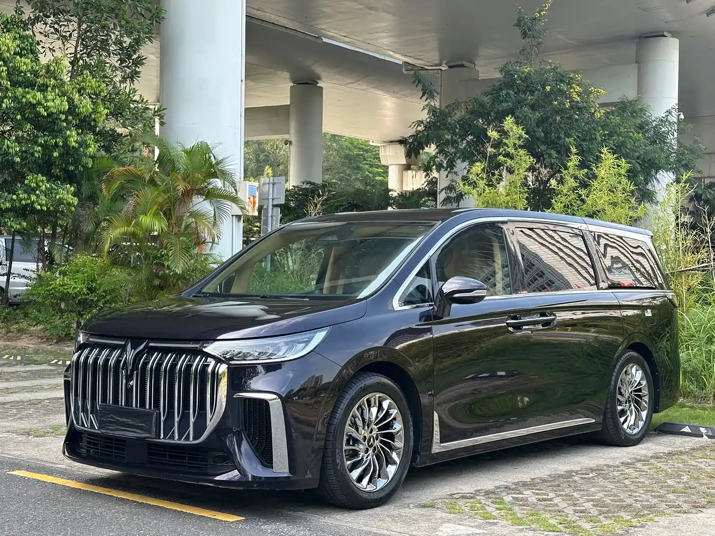 Voyah Auto Voyah Dreamer 2022 Low-carbon Dream+Smart Package