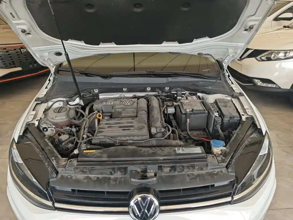 Volkswagen Golf 2019 200TSI DSG Comfort Progressive China VI