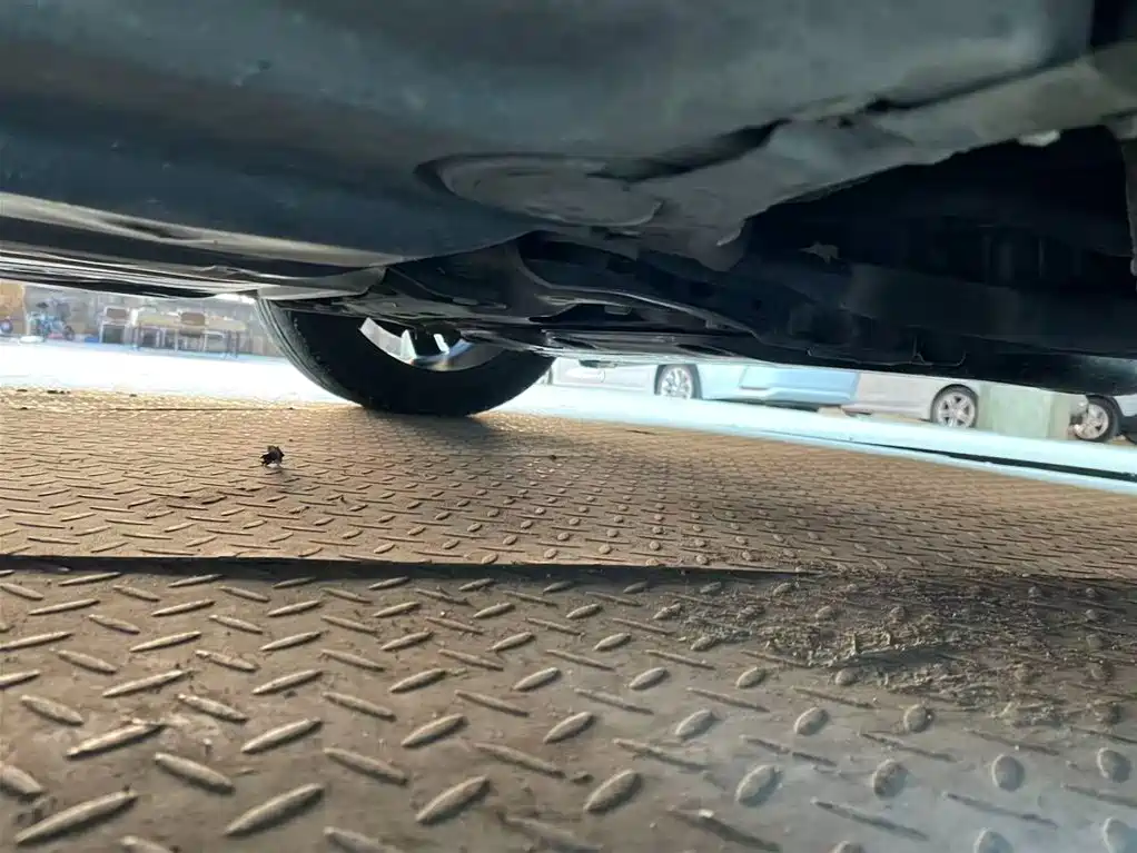 Volkswagen Golf 2023 280TSI DSG R-Line Lite