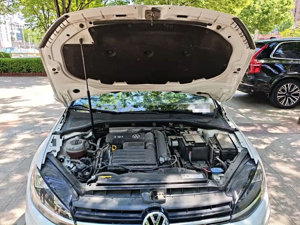 Volkswagen Golf 2019 280TSI DSG Comfort China VI