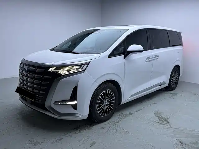 Denza Denza D9 2022 DM-i 970 All-Wheel Drive Honor Edition