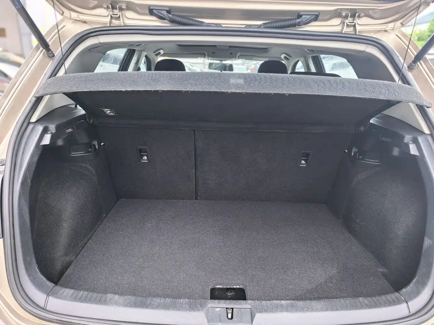 Volkswagen Golf 2017 1.6L Auto Comfort Millionth Edition