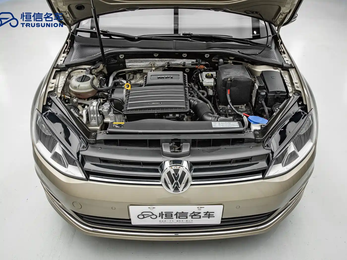 Volkswagen Golf 2017 1.6L Auto Comfort Millionth Edition