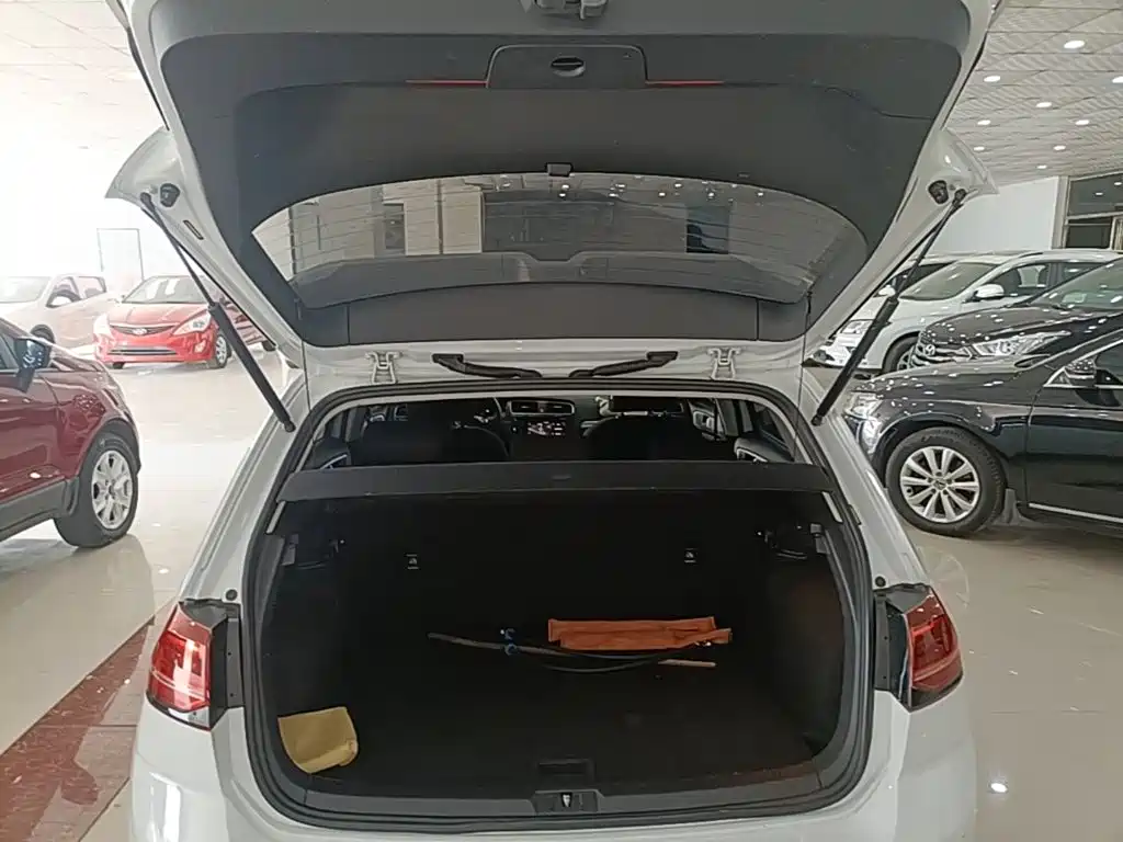 Volkswagen Golf 2019 200TSI DSG Comfort Progressive China VI