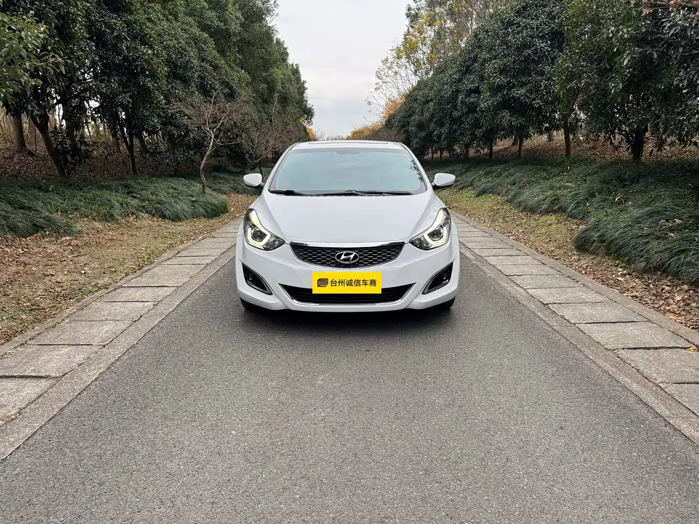 Hyundai Langdong 2016 1.6L Automatic Premium Edition