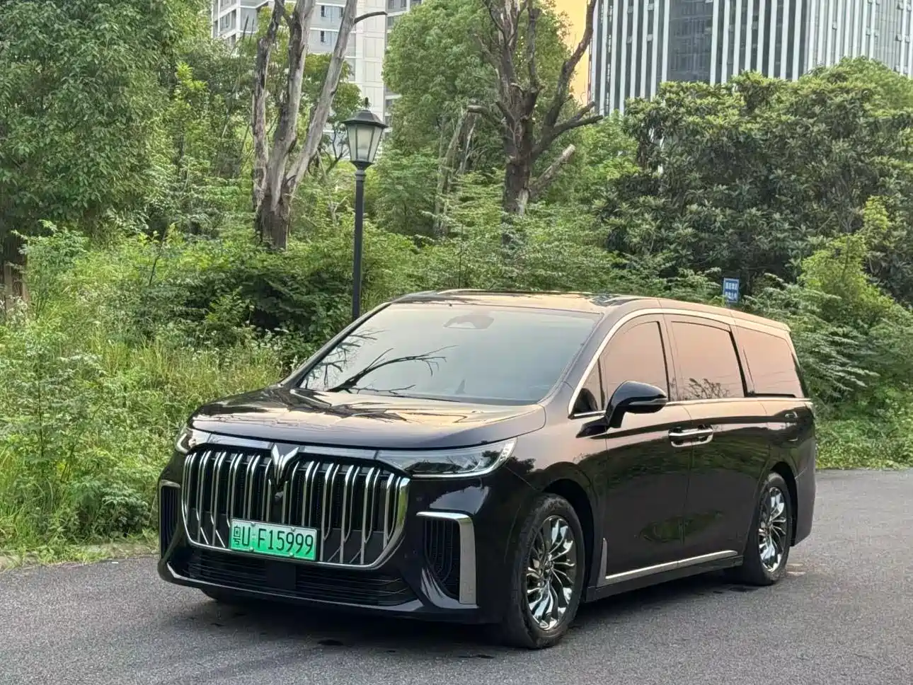Voyah Auto Voyah Dreamer 2022 Low-carbon Dream+Smart Package
