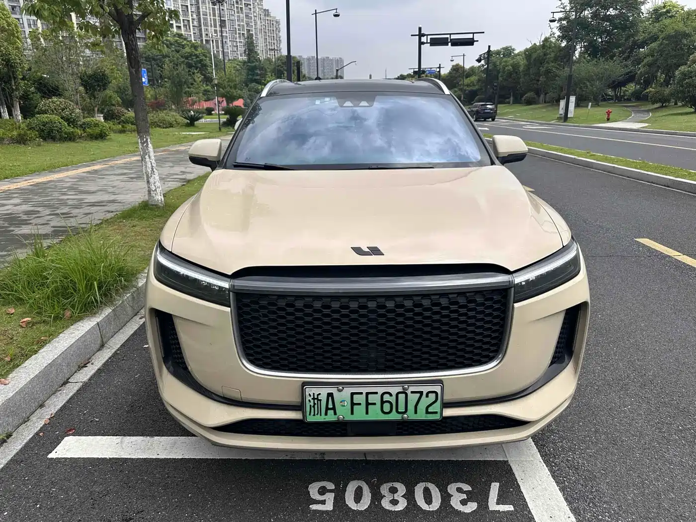 Li Auto Li ONE 2020 Extended Range 6-seater