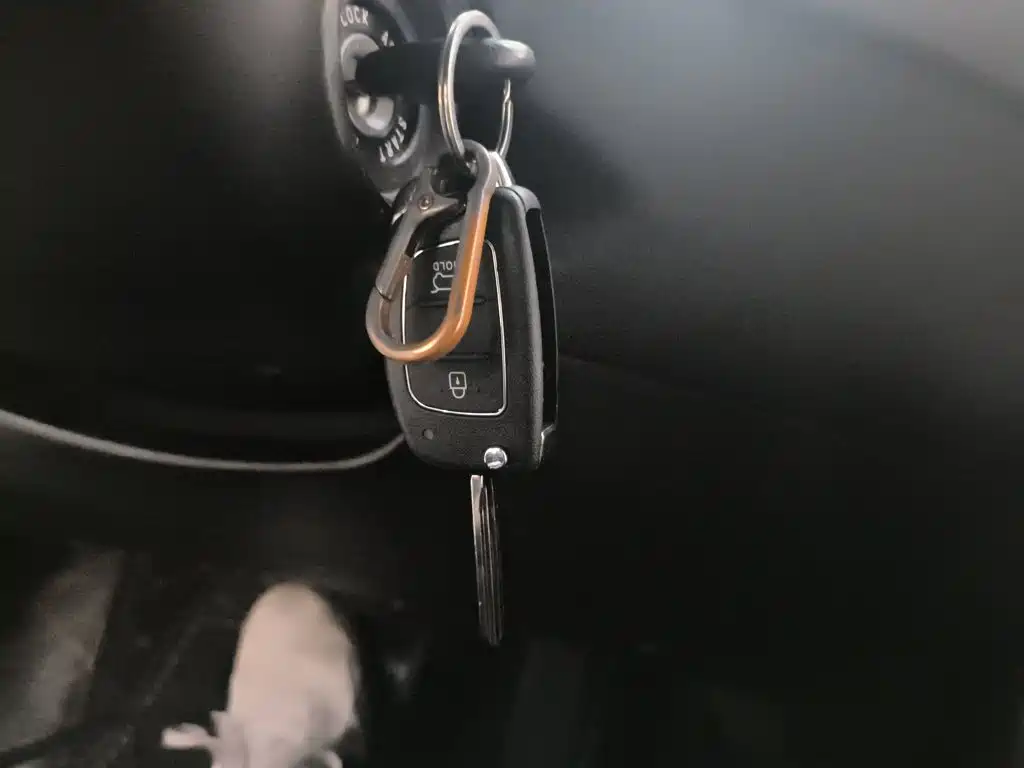 Hyundai Langdong 2016 1.6L Automatic Smart Edition