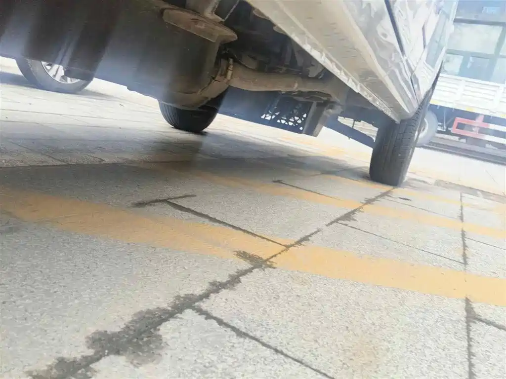Wuling Motors Wuling Zhiguang 2020 1.2L Utility China VI LSI