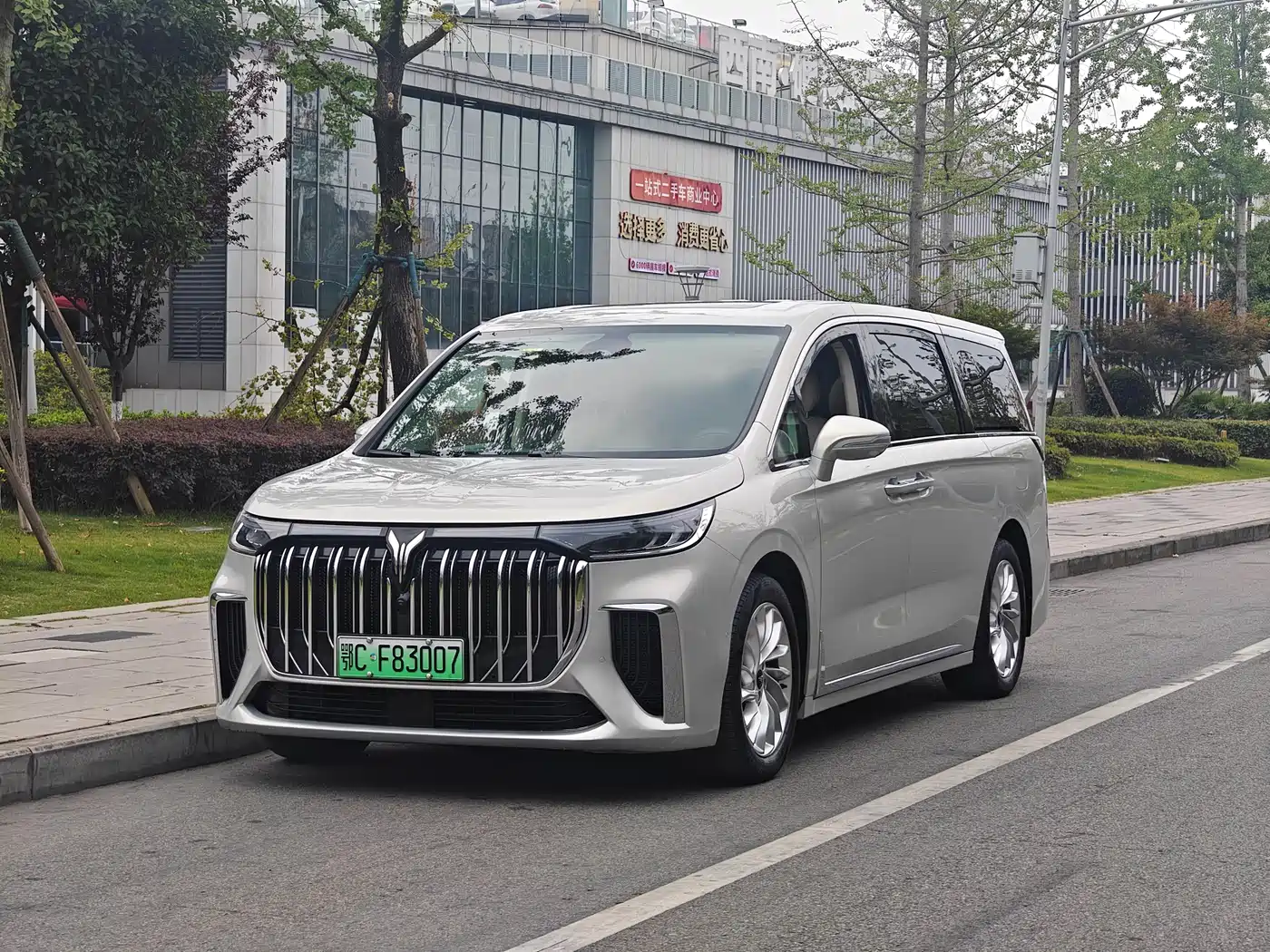 Voyah Auto Voyah Dreamer 2022 Low-carbon Edition Think+Smart Driving Package