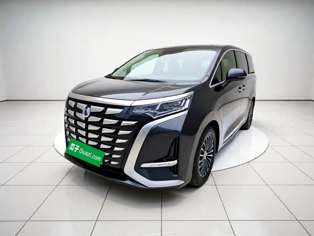 Denza Denza D9 2024 DM-i 1050 Premium