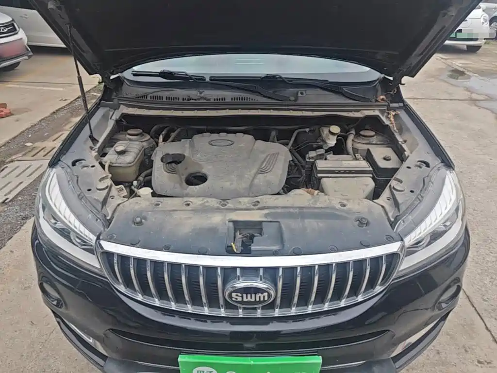 SWM Motor SWM X7 2020 2.0L Manual Comfort 7-seater
