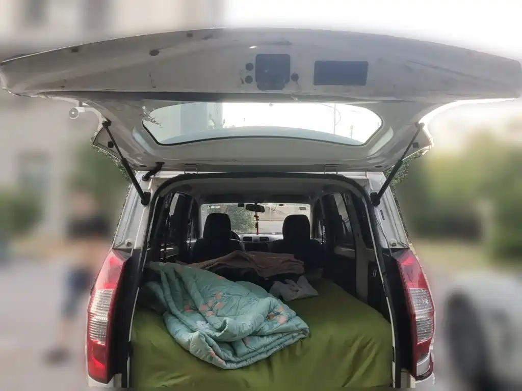 Wuling Motors Wuling Hongguang 2020 1.2L S Basic China VI LSI