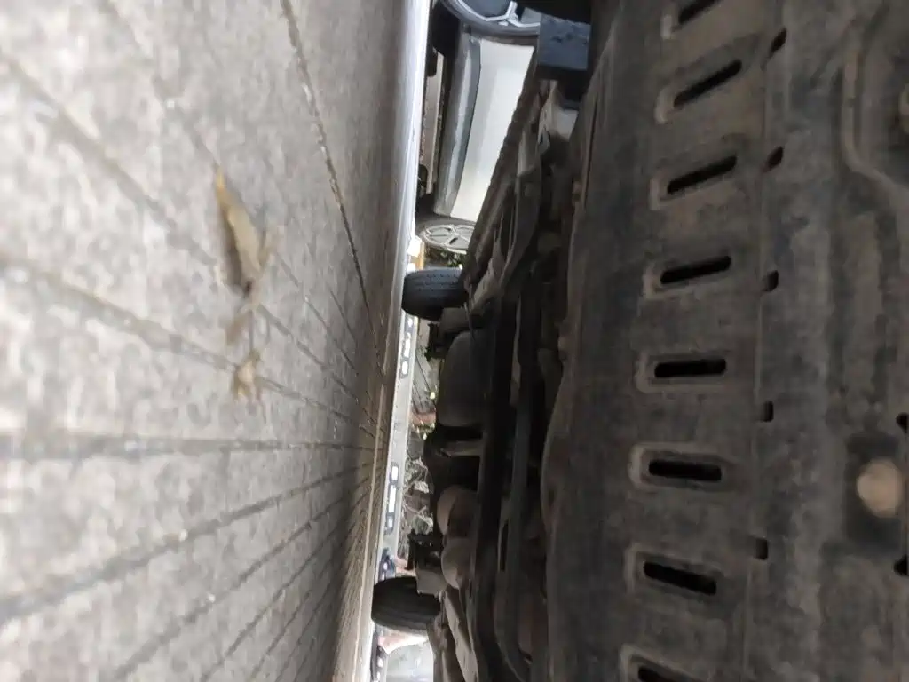 Wuling Motors Wuling Hongguang 2020 1.2L S Basic China VI LSI