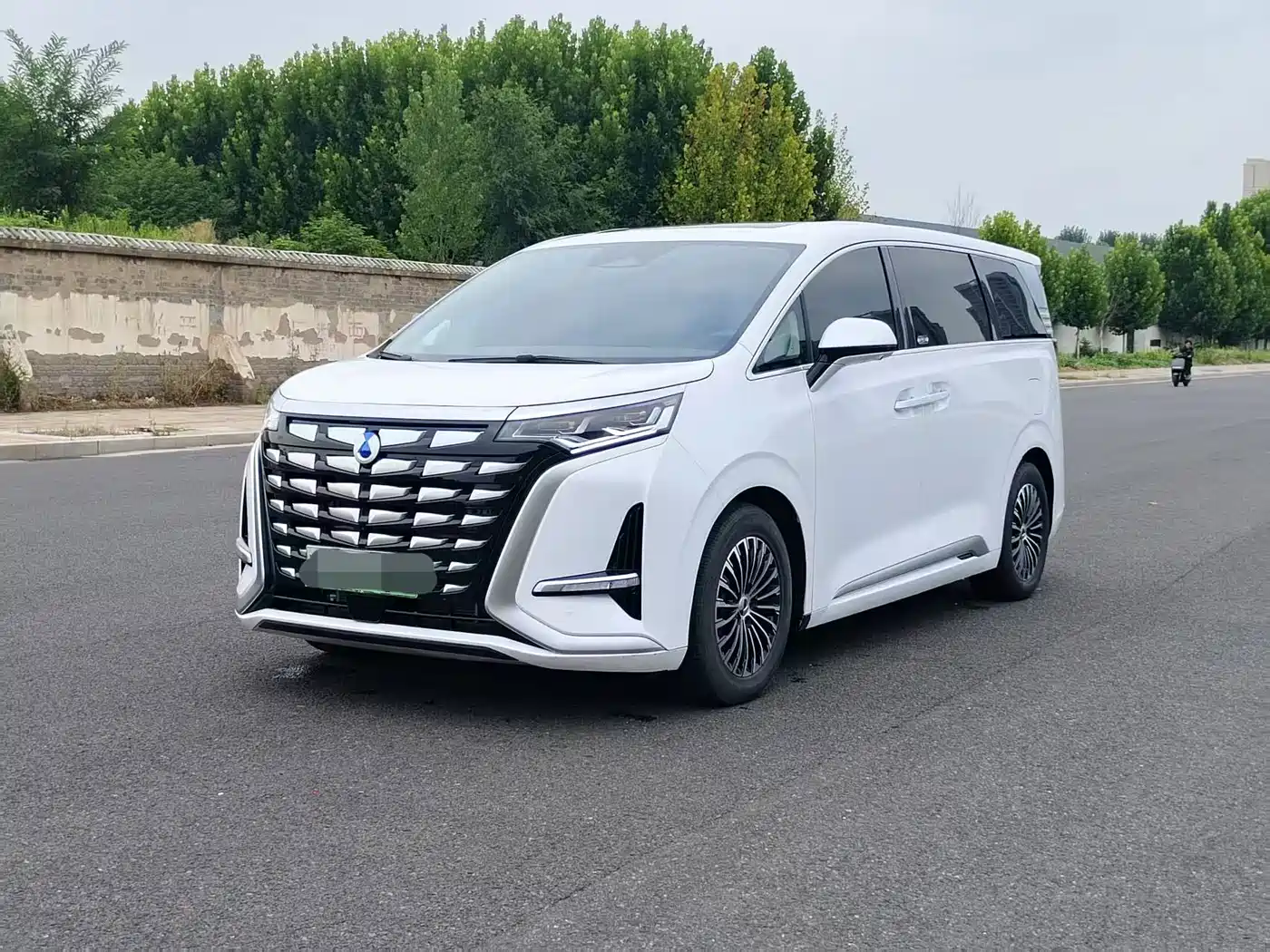 Denza Denza D9 2022 DM-i 970 All-Wheel Drive Honor Edition