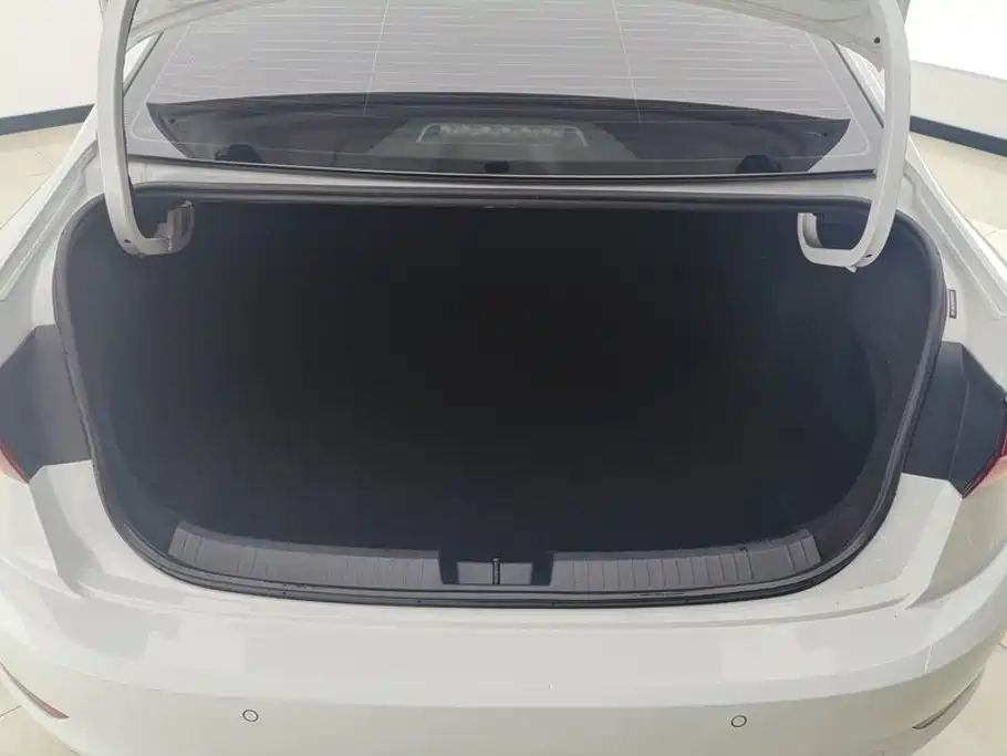 Volkswagen Sagitar 2020 280TSI DSG Comfort China VI