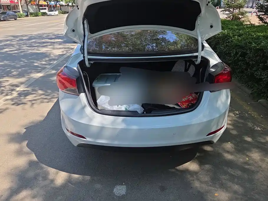 Hyundai Langdong 2016 1.6L Manual Premium Edition